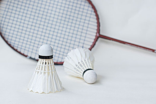 考辛斯强调 考辛斯强调